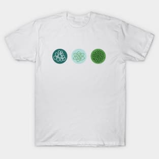 Succulent 3 T-Shirt